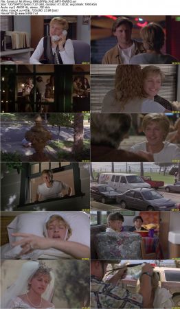 Mr Wrong 1996 BRRip XviD MP3-RARBG