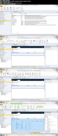 SharePoint Designer 2010: Creating Data-Driven Web Pages