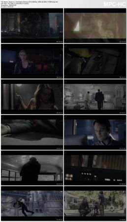 Terminator Genisys 2015 BluRay 10Bit 4K DD5.1 H265-d3g