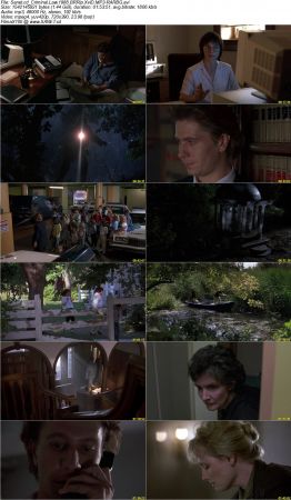 Criminal Law 1988 BRRip XviD MP3-RARBG