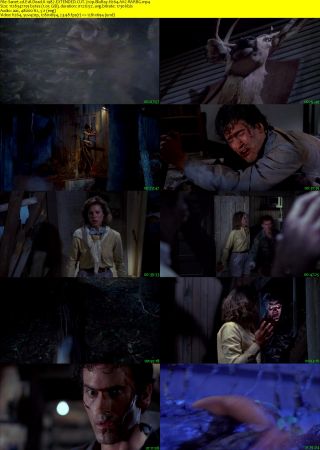 Evil Dead II 1987 EXTENDED CUT 720p BluRay H264 AAC-RARBG
