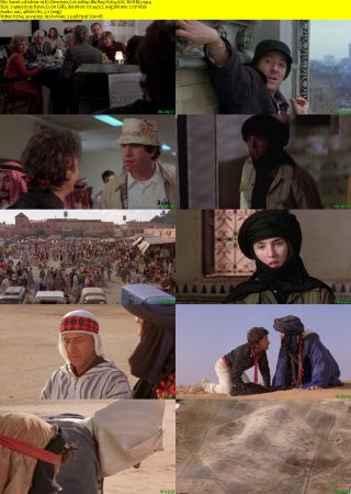 Ishtar 1987 Directors Cut 1080p BluRay H264 AAC-RARBG