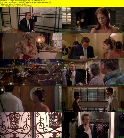 Simply Irresistible 1999 BRRip XviD MP3-RARBG
