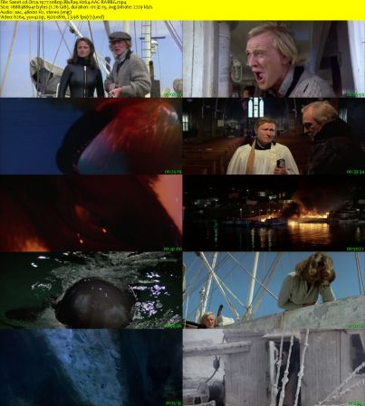 Orca 1977 1080p BluRay H264 AAC-RARBG