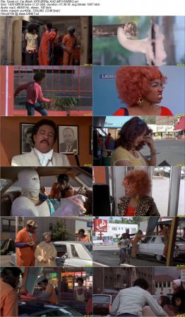 Car Wash 1976 BRRip XviD MP3-RARBG
