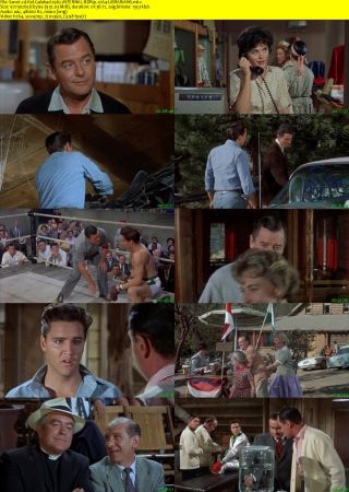 Kid Galahad 1962 iNTERNAL BDRip x264-LiBRARiANS