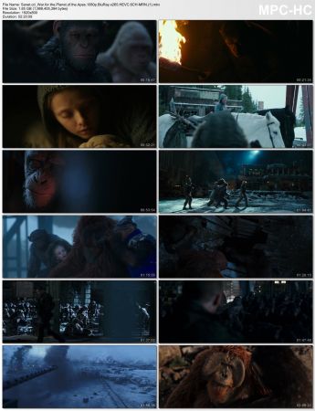 War for the Planet of the Apes 1080p BluRay x265 HEVC 6CH-MRN