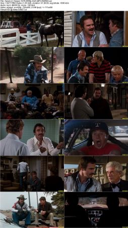 Hooper 1978 BRRip XviD MP3-RARBG