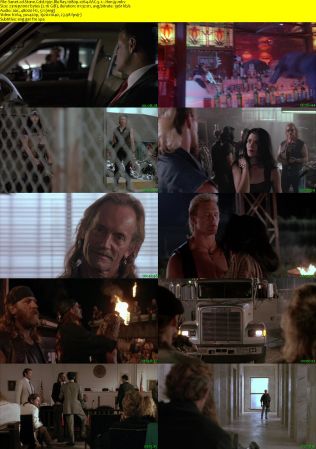 Stone Cold 1991 BluRay 1080p x264 AAC.5.1 Hon3y