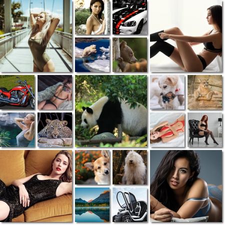 Desktop Beautiful Wallpapers Pack 989