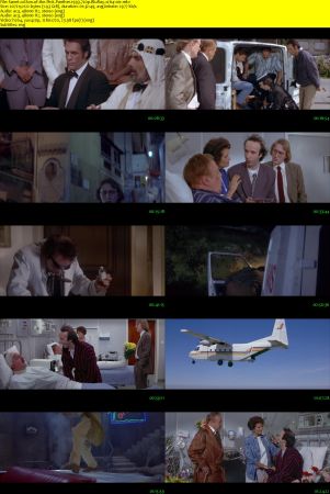 Son of the Pink Panther 1993 720p BluRay x264-x0r