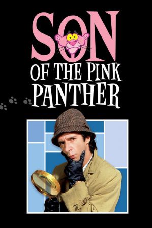 Son of the Pink Panther 1993 720p BluRay x264-x0r