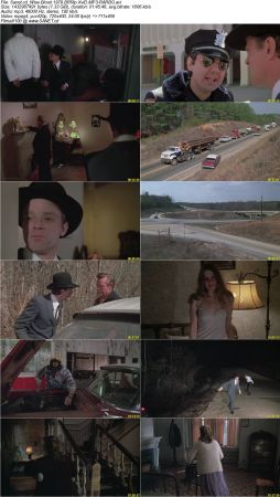 Wise Blood 1979 BRRip XviD MP3-RARBG