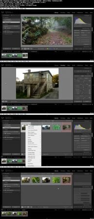 Organize your Photos with Lightroom (Complete Guide)