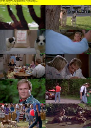 Beethoven 2 1993 INTERNAL BDRip x264-GHOULS