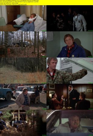 Walking Tall Part 2 1975 720p BluRay H264 AAC-RARBG