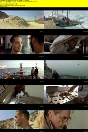 The Big Blue 1988 720p BluRay x264-x0r