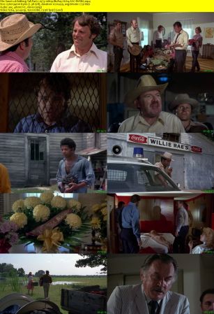 Walking Tall 1973 Part 1 1080p BluRay H264 AAC-RARBG