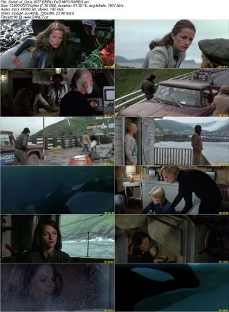 Orca 1977 BRRip XviD MP3-RARBG