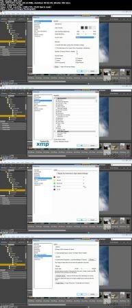 Bridge CC for Photographers