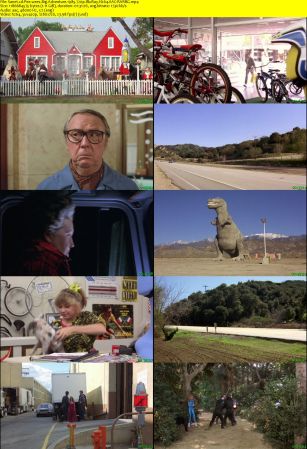 Pee wees Big Adventure 1985 720p BluRay H264 AAC-RARBG