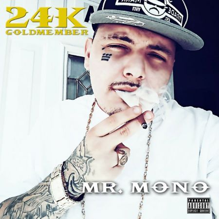 Mr. Mono - 24k Goldmember (2017)