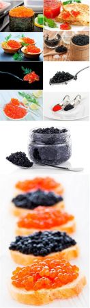 Caviar - 10UHQ JPEG Stock Image 