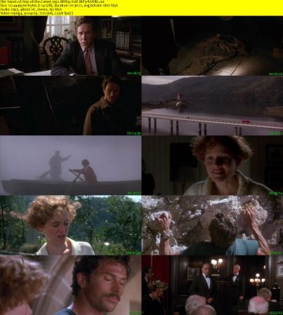 Year of the Comet 1992 BRRip XviD MP3-RARBG