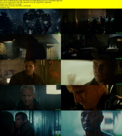 Blade Runner 1982 The Final Cut 1080p BluRay 6CH AC3 2.8GB MkvCage
