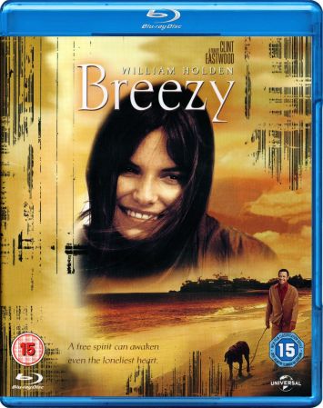 Breezy 1973 BRRip XviD MP3-RARBG