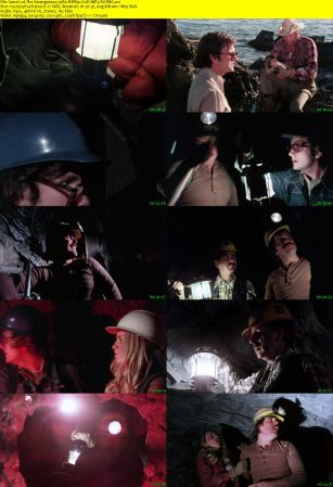 The Strangeness 1980 BRRip XviD MP3-RARBG
