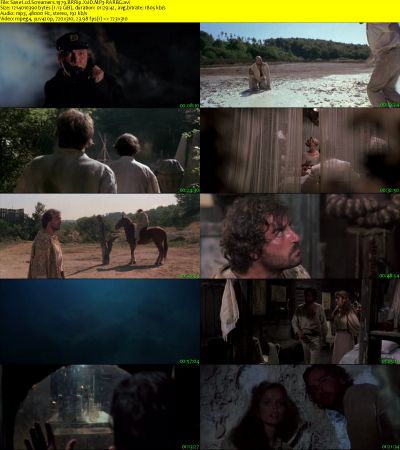 Screamers 1979 BRRip XviD MP3-RARBG