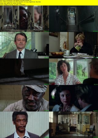 Brubaker 1980 BRRip XviD MP3-RARBG