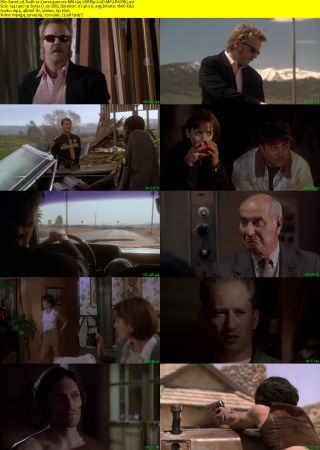 Truth or Consequences NM 1997 BRRip XviD MP3-RARBG