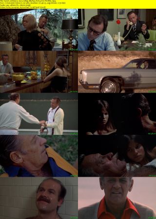 Breezy 1973 1080p BluRay H264 AAC-RARBG