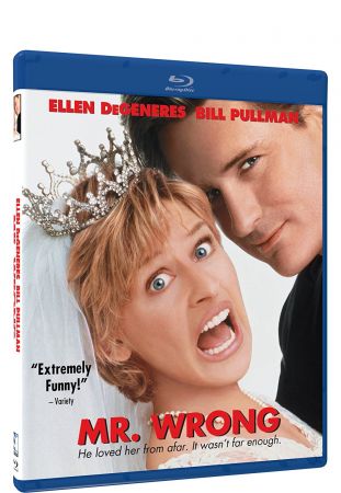 Mr Wrong 1996 BRRip XviD MP3-RARBG