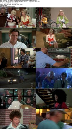 The Brady Bunch Movie 1995 iNTERNAL HDTV x264-REGRET