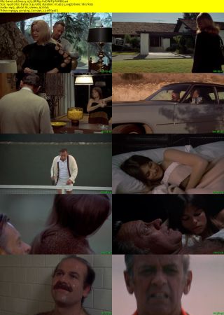 Breezy 1973 BRRip XviD MP3-RARBG