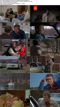 Walking Tall Part 2 1975 BRRip XviD MP3-RARBG