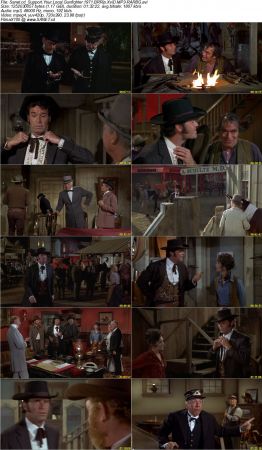 Support Your Local Gunfighter 1971 BRRip XviD MP3-RARBG