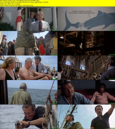 Jaws 1975 720p BluRay H264 AAC-RARBG