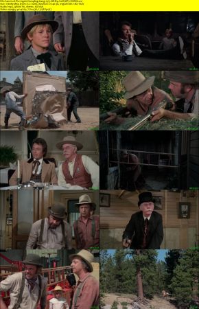 The Apple Dumpling Gang 1975 BRRip XviD MP3-RARBG