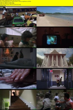 Bewitched 1981 720p x264-x0r