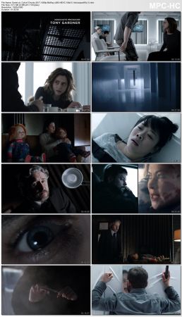 Cult of Chucky 2017 1080p BluRay x265 HEVC 10bit 5.1ch-xxxpav69