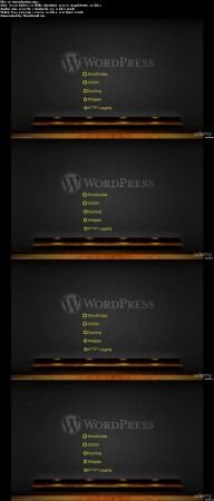 Build 5 effective wordpress plugins, in 1 hour (2016)