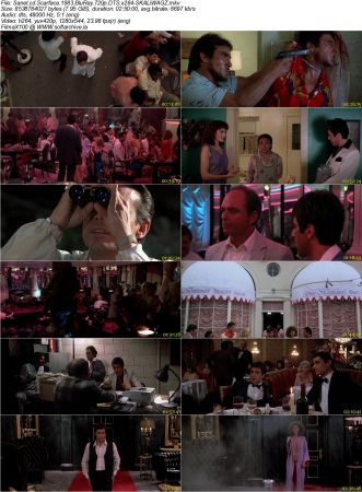 Scarface 1983 BluRay 720p DTS x264-SKALiWAGZ