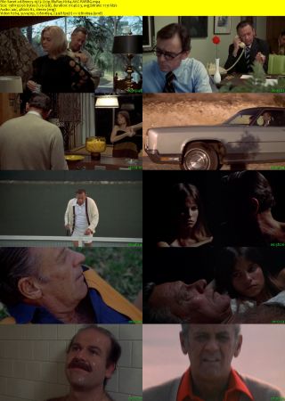 Breezy 1973 720p BluRay H264 AAC-RARBG