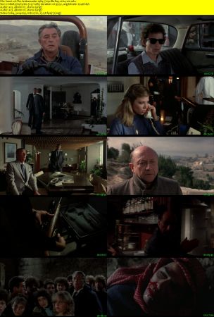 The Ambassador 1984 720p BluRay x264-x0r