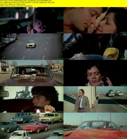 The Gumball Rally 1976 720p BluRay x264-SADPANDA