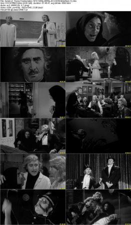 Young Frankenstein 1974 1080p BRRip AC3 X264 MutzNutz